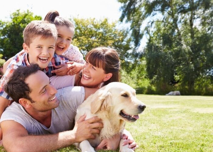 Coberturas familiares: como unir conforto e proteção
